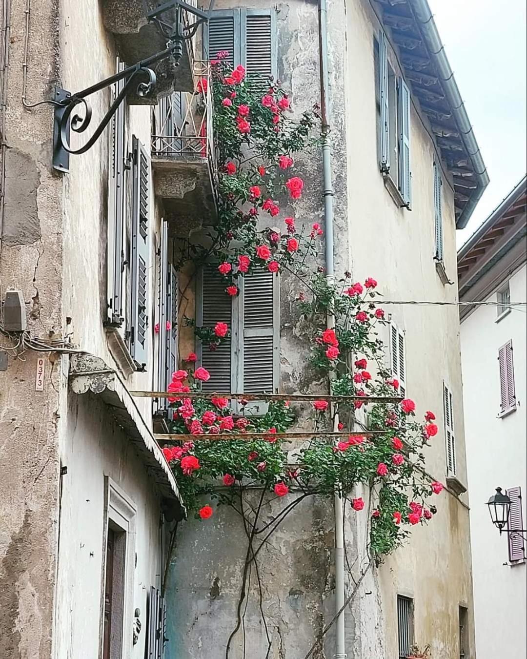 L'Airone - Casa Vacanza مانديلو ديل لاريو المظهر الخارجي الصورة
